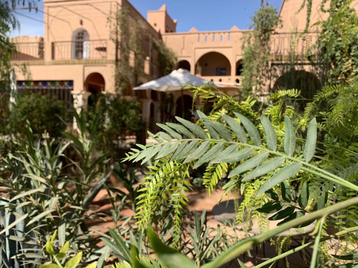 Riad Chant D'Etoiles Tadighoust Hotel El Hara Exterior photo