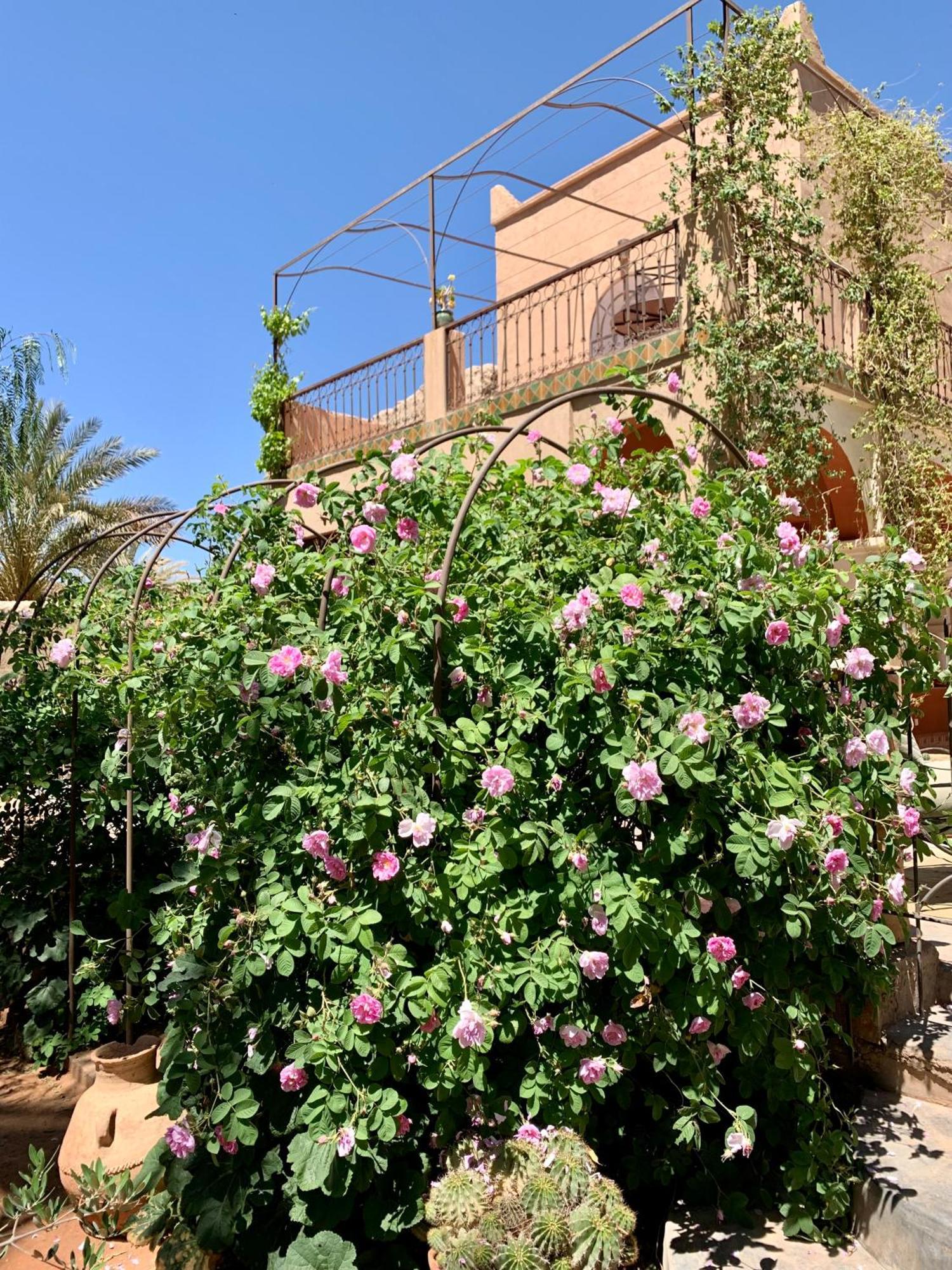 Riad Chant D'Etoiles Tadighoust Hotel El Hara Exterior photo